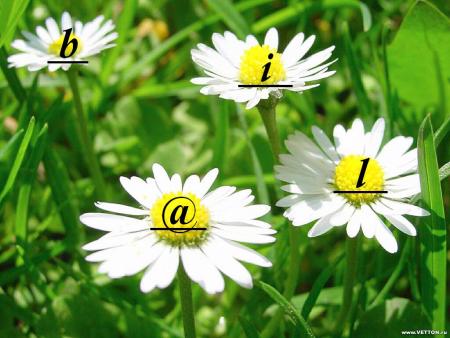 @_l_i_b  in 4 flores