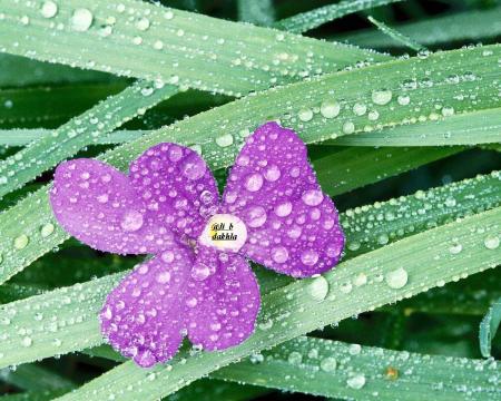 like...... i don't no