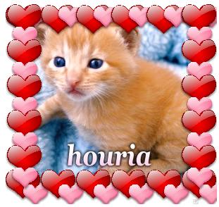 for you houriya your lover @li