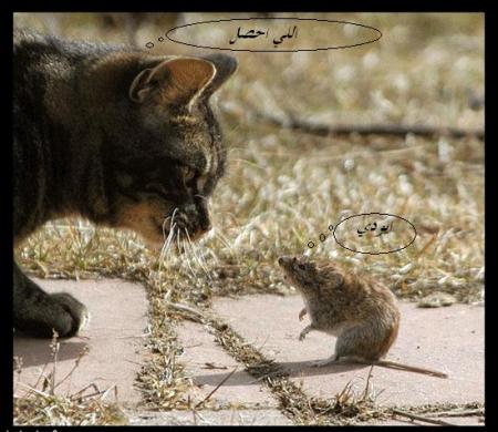 all@h aysam7  \   ma ta7lm biha ga3